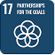 SDG Icon